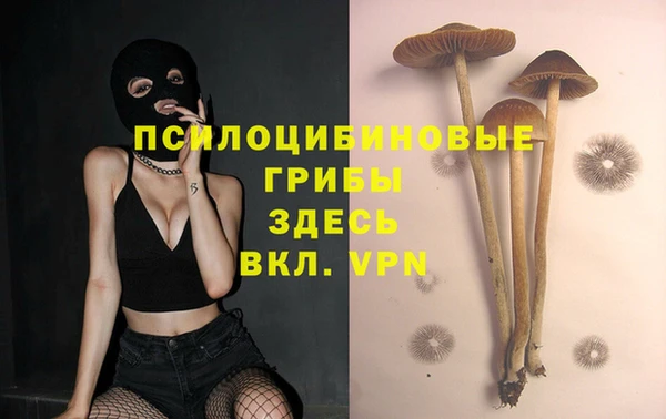 стафф Белокуриха