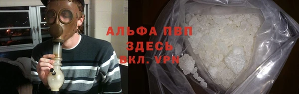 стафф Белокуриха
