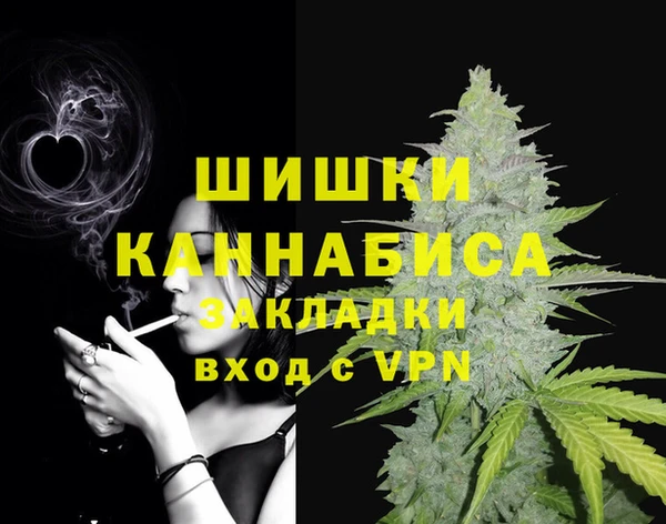 стафф Белокуриха