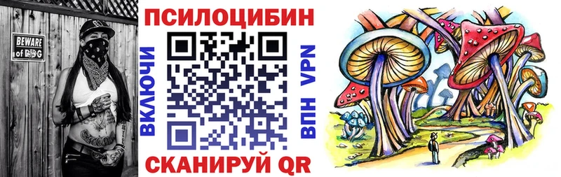 как найти закладки Спас-Деменск Псилоцибиновые грибы ЛСД